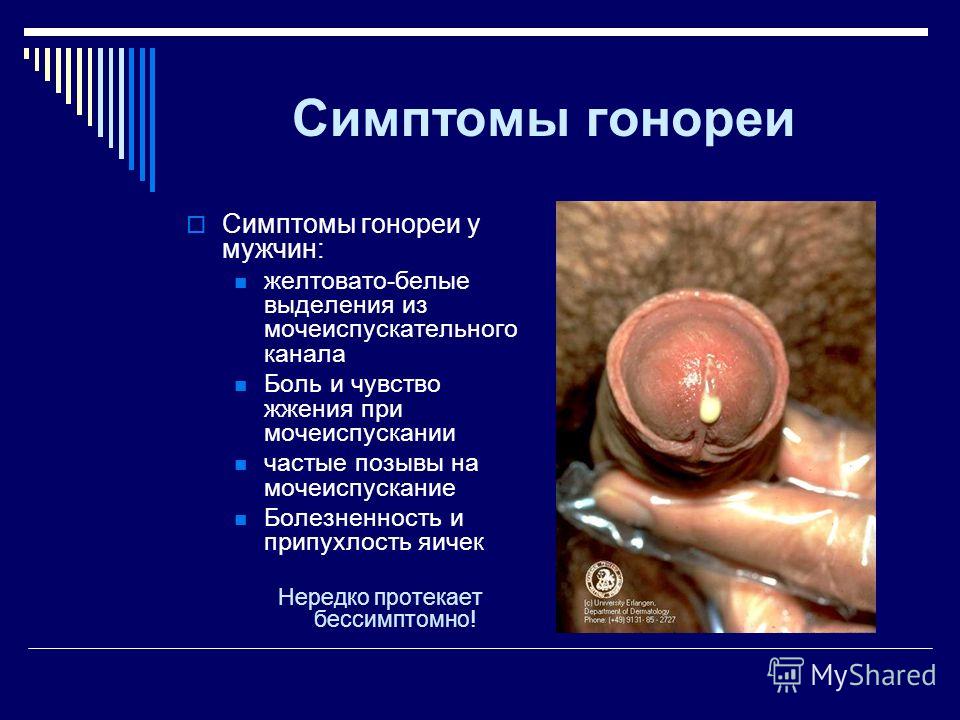 инкубационный период паразитов в человеке инкубационный период паразитов в человеке