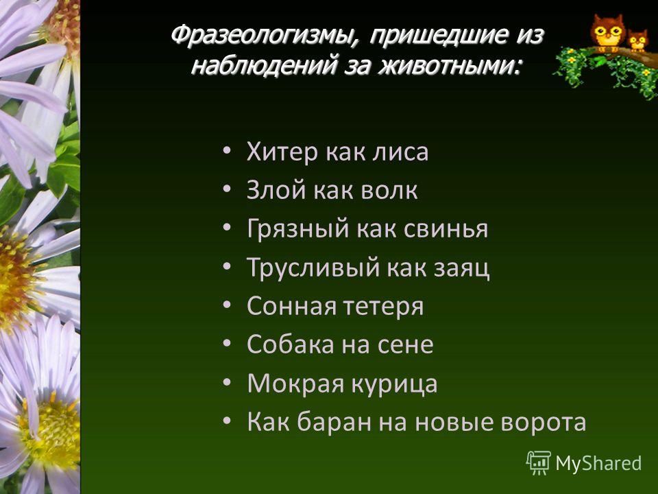 5 предложений по чувашскому языку про лису 4 класс
