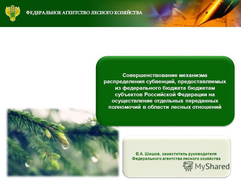 Лесное хозяйство презентация