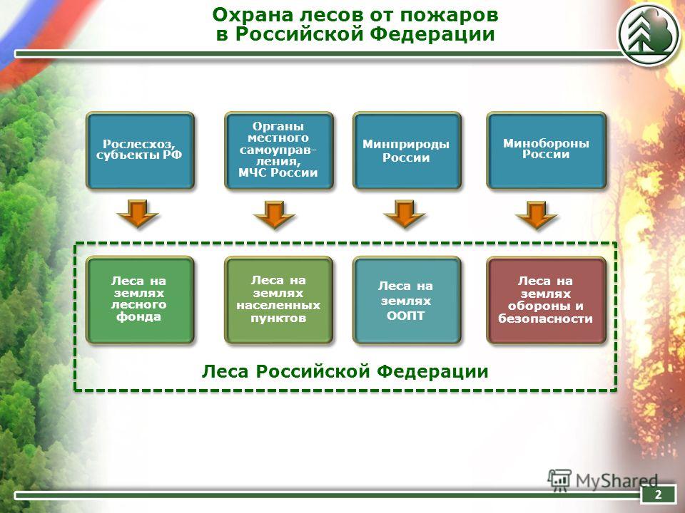 Презентация охрана лесов от пожаров