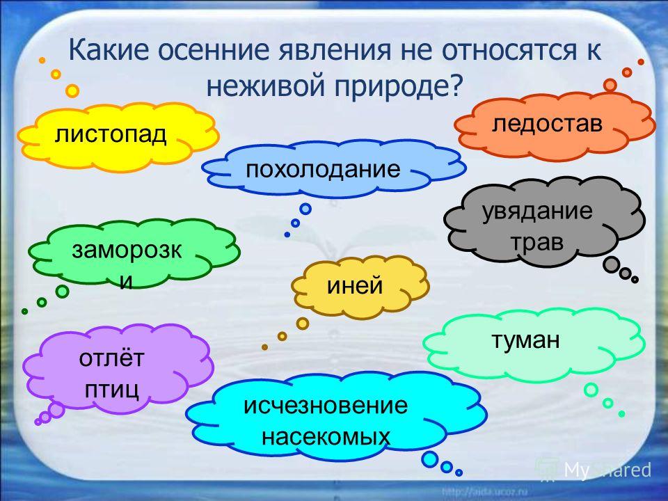 Интересные подарки на юбилей мужчине 50 лет Интересные подарки на юбилей мужчине 50 лет