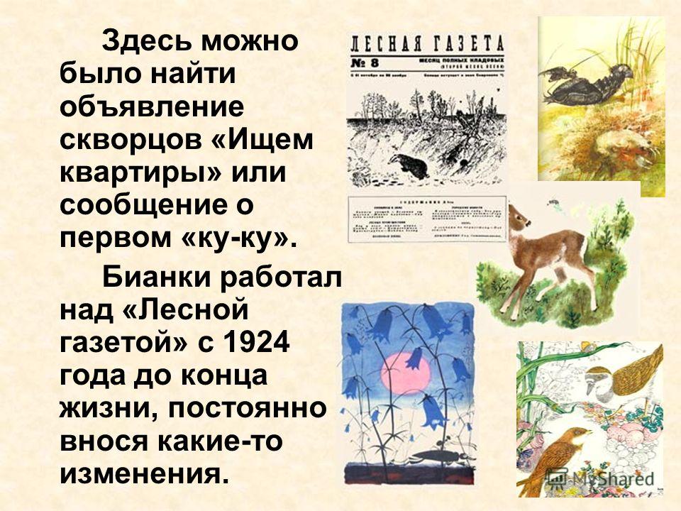 Презентация Творчество Бианки 1 Класс