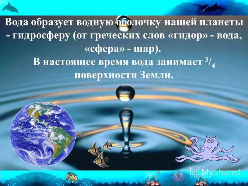 Вода образует водную оболочку нашей планеты - гидросферу (от греческих слов «гидор» - вода, «сфера» - шар). В настоящее время вода занимает 3 / 4 поверхности Земли.