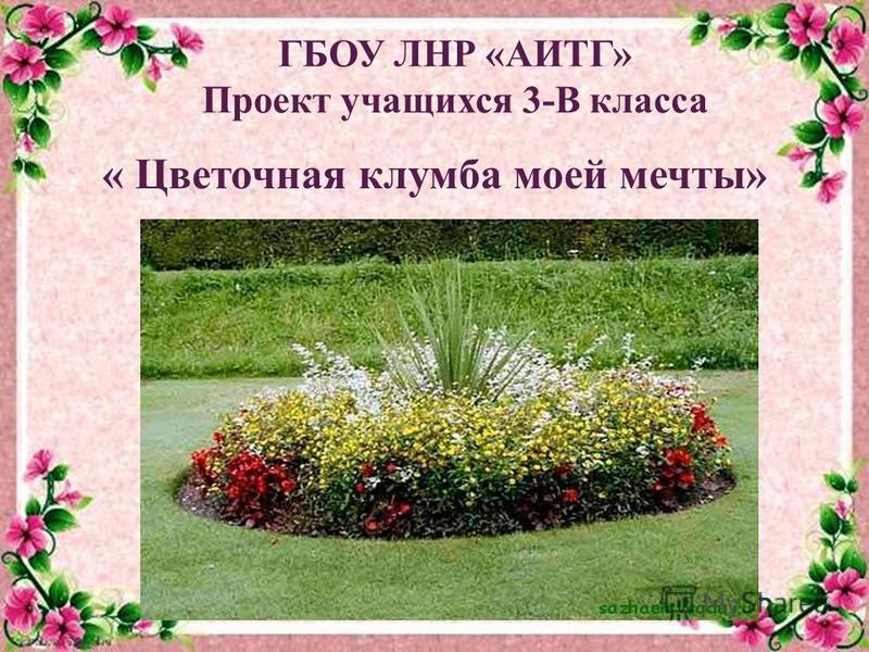 Проект аптекарского огорода в школе № 92 г. Москвы - Letopisi.ru