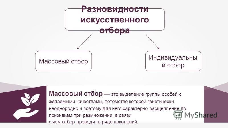 Основные положения учения Ч. ДАРВИНА - СЦБИСТ - железнодорожный форум, блоги, фо