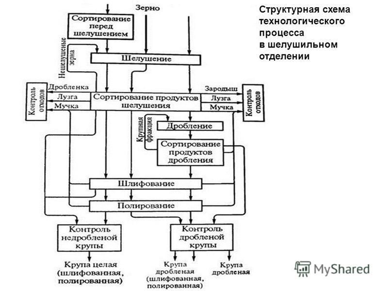 ЗЕРНО И ПРОДУКТЫ ЕГО ПЕРЕРАБОТКИ