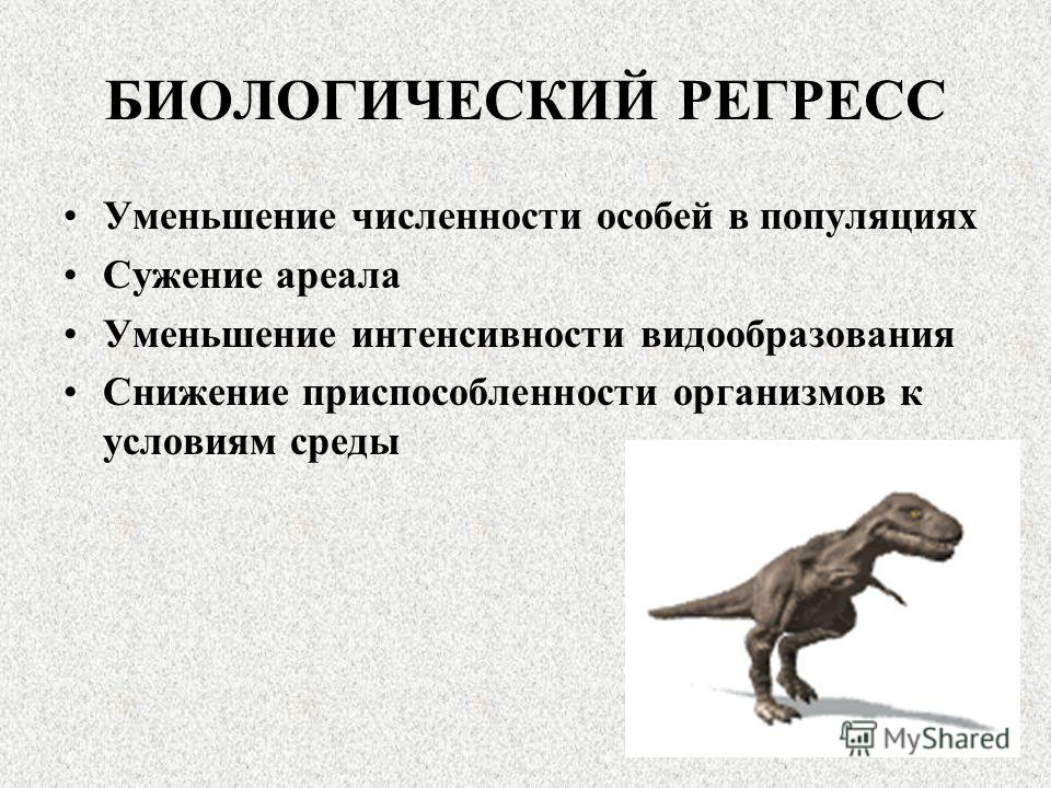 примеры решение задач по алгебре 9 класс