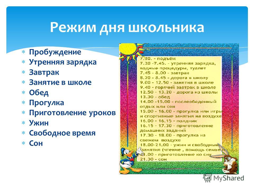 доклад закон