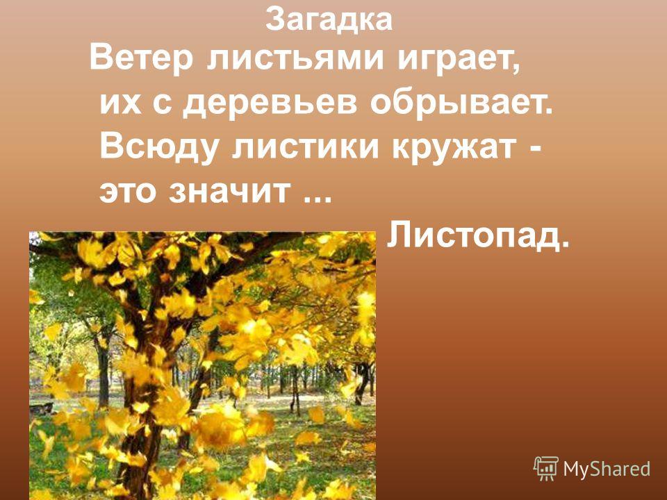 Коля 20 71 садовод Коля 20 71 садовод