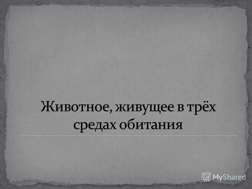 организм среда обитания паразита организм среда обитания паразита