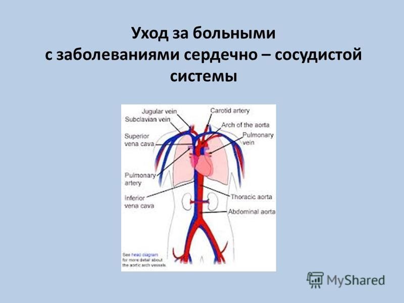 Реферат: Заболевания сердечно-сосудистой системы