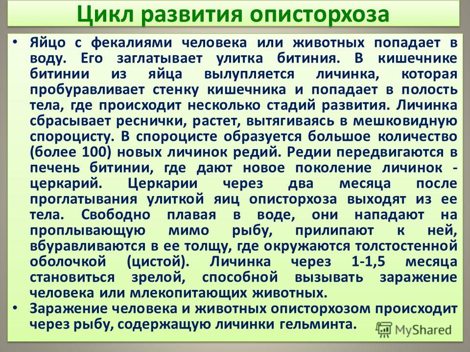 Курсовая Работа На Тему Описторхоз Курсовая Работа На Тему Описторхоз