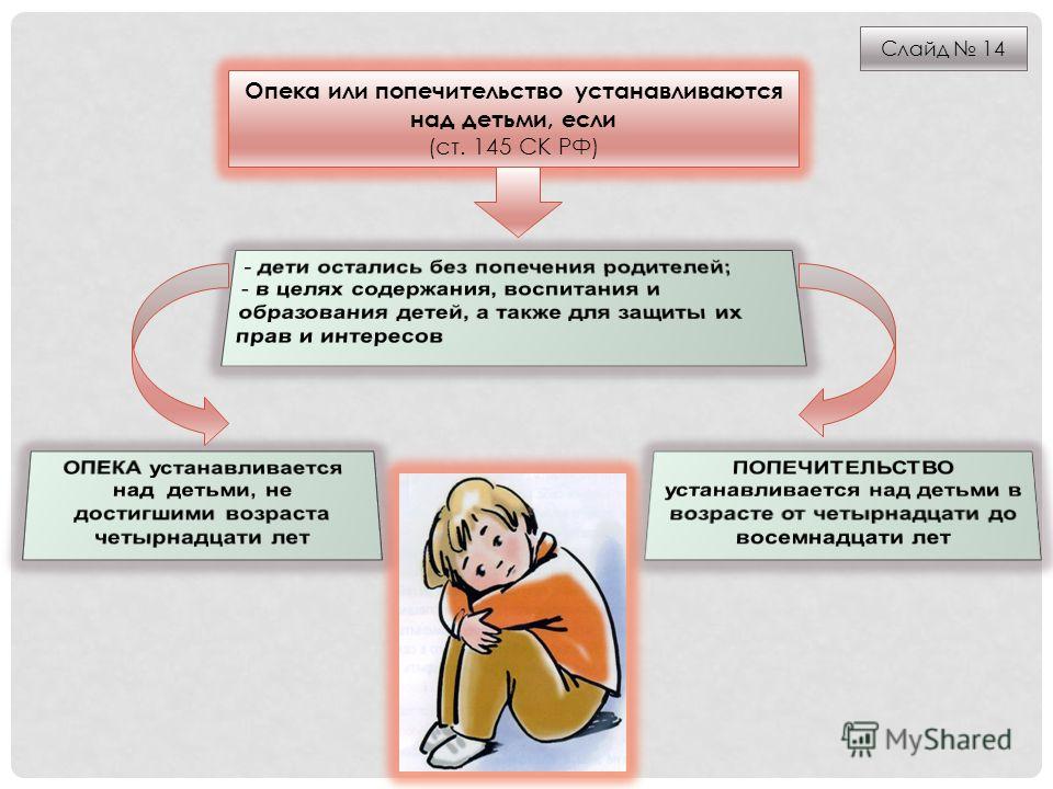 о патронировании опеке и усыновлении детей оставшихся без родителей соблюдали