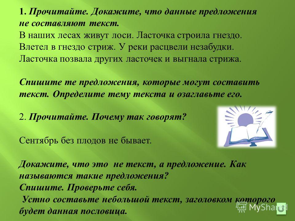 Выкройка одежды для собак маленьких пород: своими Выбираем оригинальный способ, как подарить деньги на свадьбу