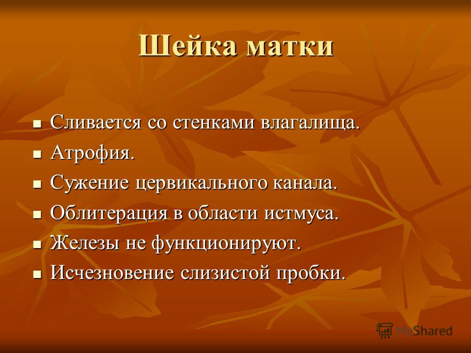 5 лучших средств для сужения влагалища у женщин
