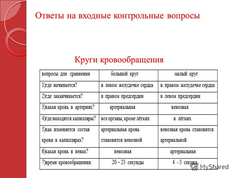 Презентация "Движение крови и лимфы в организме. Органы кровообращения" - скачат