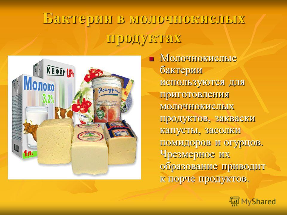 Как сделать бактерии для ребенка из молока Как сделать бактерии для ребенка из молока