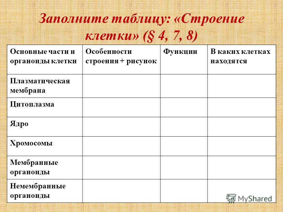 Клеточные элементы и их функции