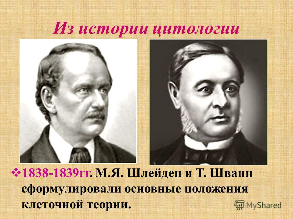view очерки view очерки политической экономии