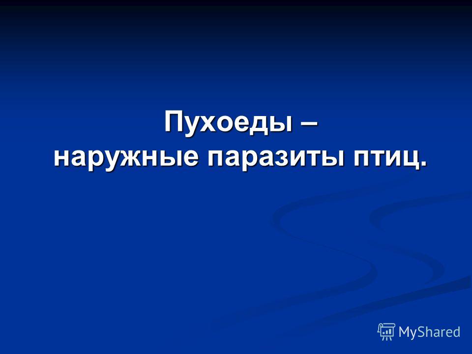 паразиты в ротовой полости человека паразиты в ротовой полости человека