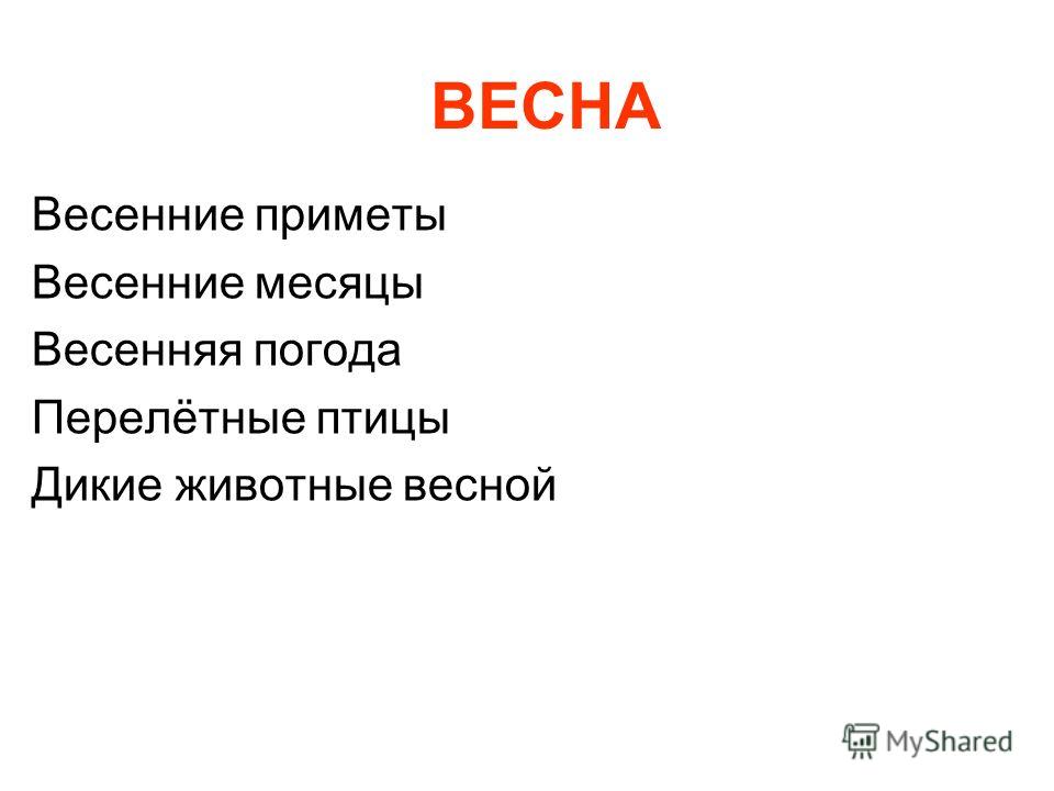 Животные весной картинки для детей Животные весной картинки для детей