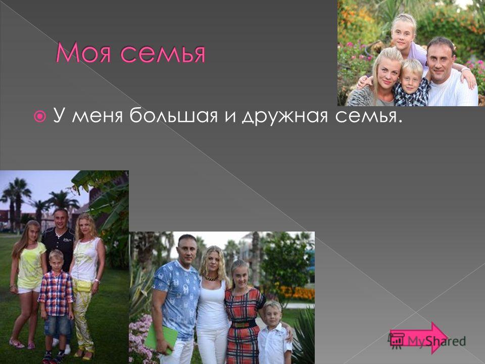У меня большая дружная семья стих У меня большая дружная семья стих