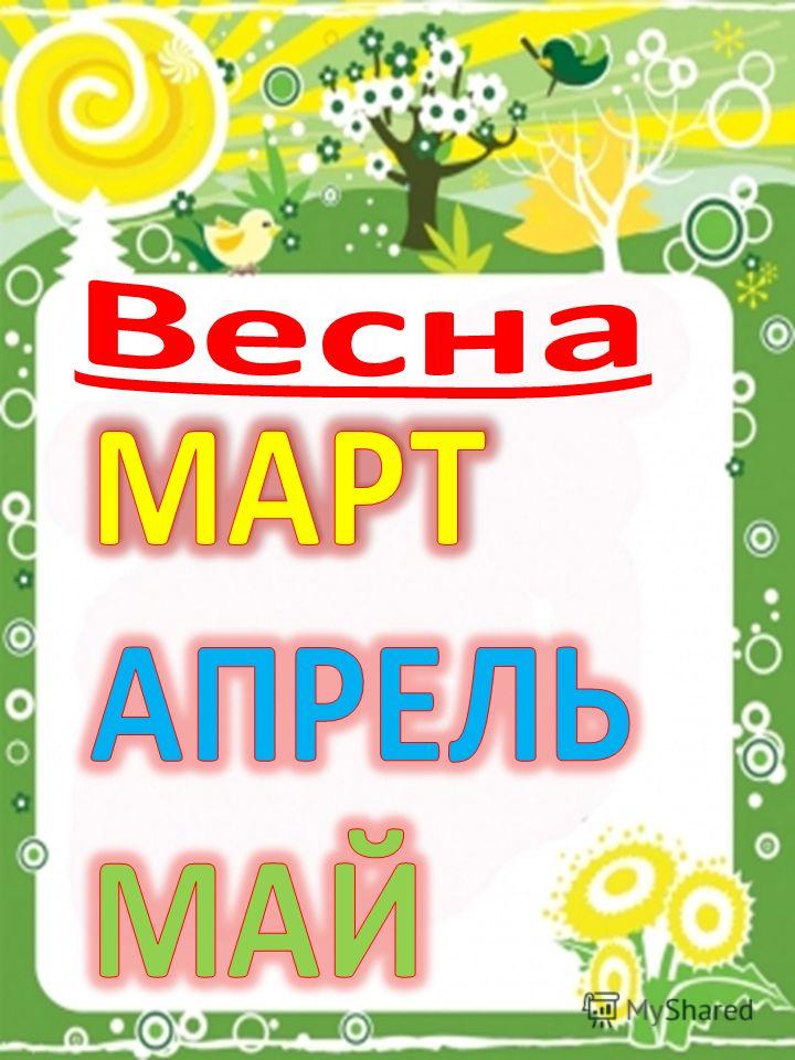 Уголок природы в Детском саду своими руками