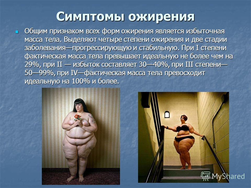 режим питания снижение веса режим питания снижение веса