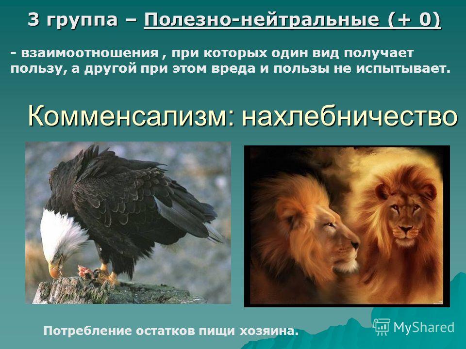 Взаимополезные отношения видов Взаимополезные отношения видов