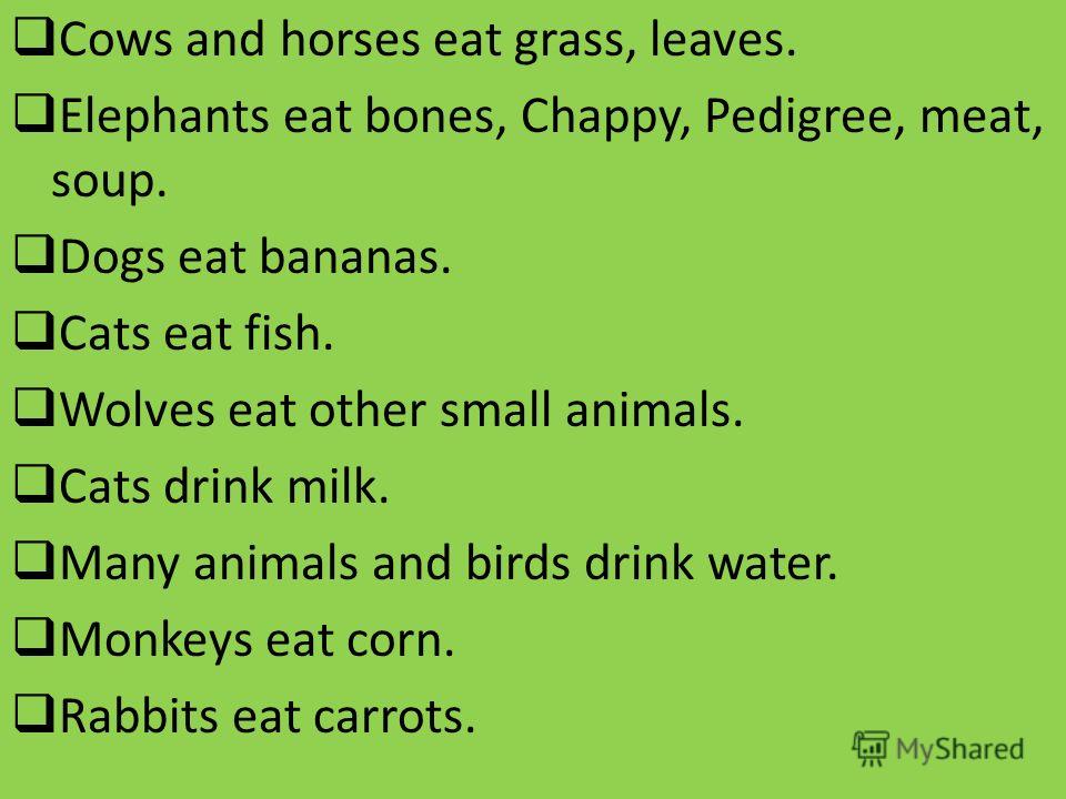 Cows and horses eat grass, leaves. Elephants eat bones, Chappy, Pedigree, meat, soup. Dogs eat bananas. Cats eat fish. Wolves eat other small animals. Cats drink milk. Many animals and birds drink water. Monkeys eat corn. Rabbits eat carrots.