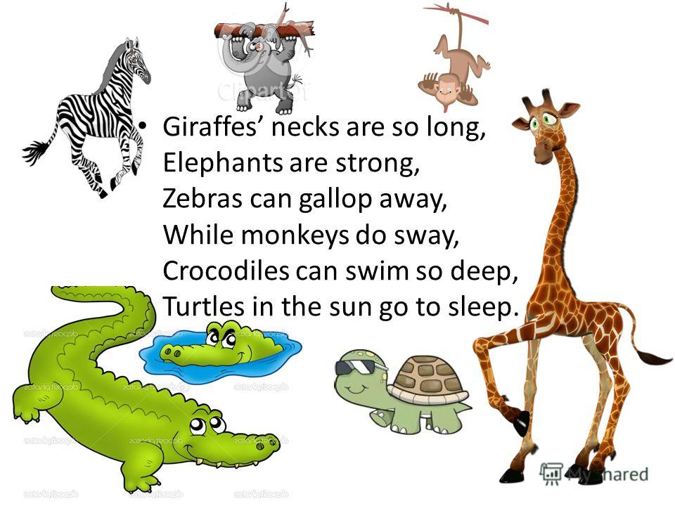 Giraffes necks are so long, Elephants are strong, Zebras can gallop away, While monkeys do sway, Crocodiles can swim so deep, Turtles in the sun go to sleep.