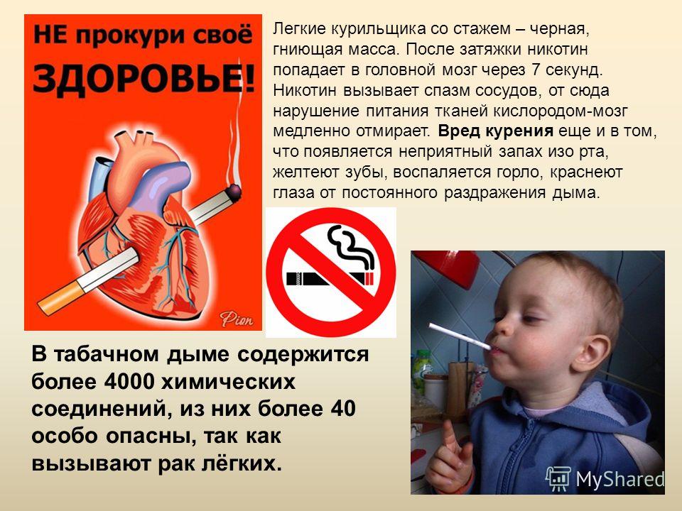 запах изо рта легкие запах изо рта легкие