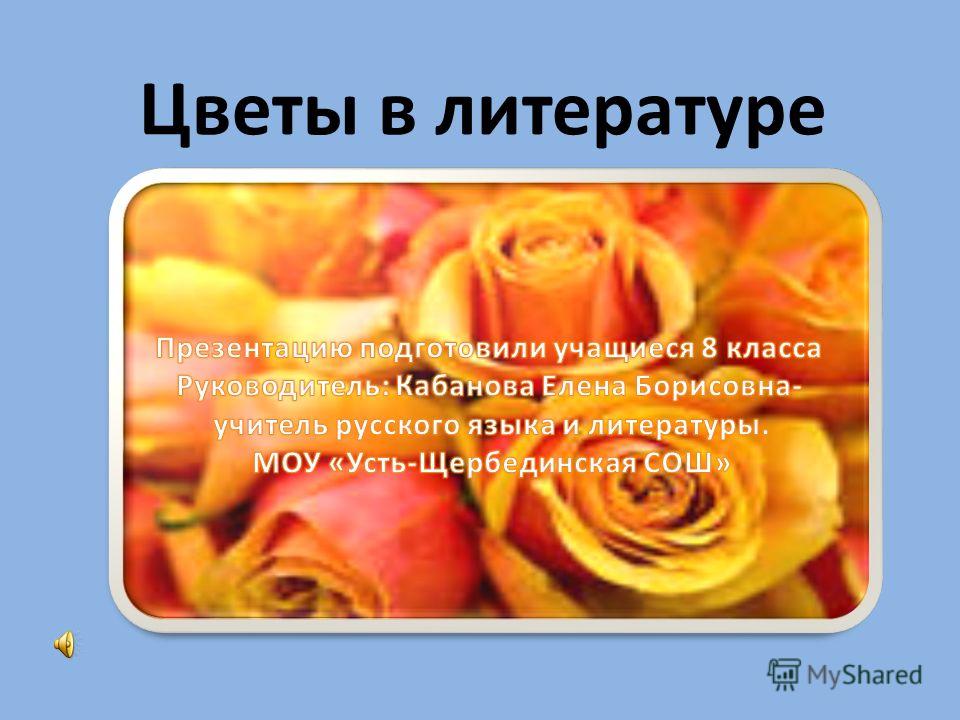 Изображение