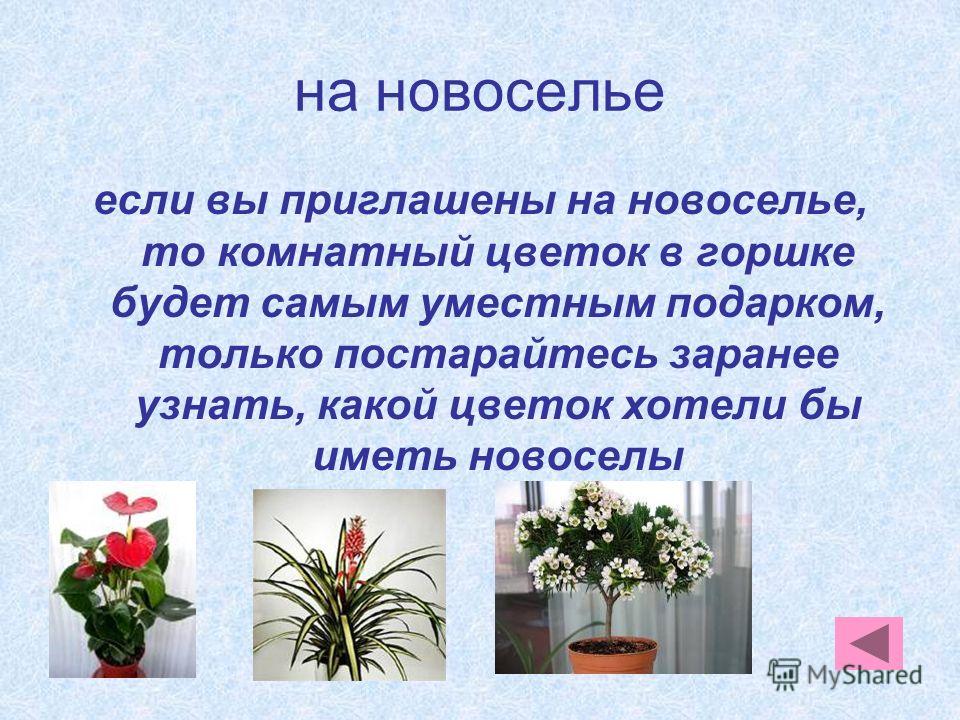 Стих для подарка цветок в горшке Стих для подарка цветок в горшке