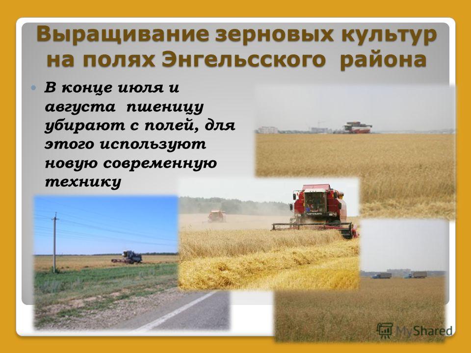 ОКВЭД - Выращивание зерновых и зернобобовых культур 45 ОКВЭД - Выращивание зерновых и зернобобовых культур 29