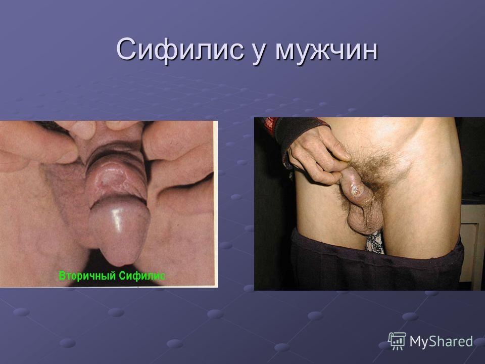 онлайн диетолог гомель скачать онлайн диетолог гомель скачать