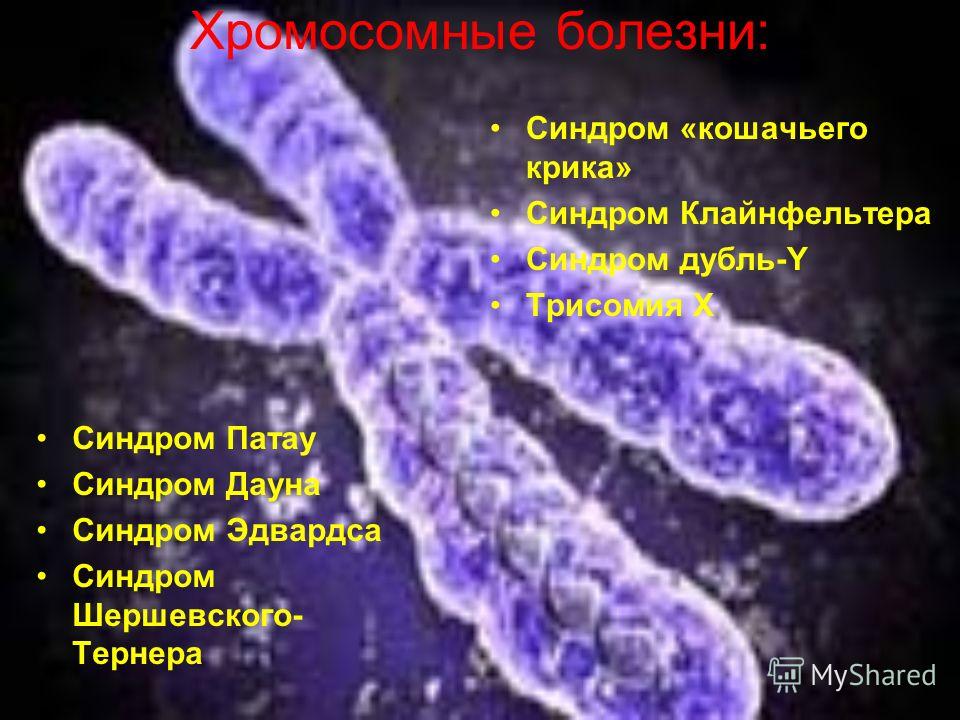 Боли в пояснице на 5 недели беременности