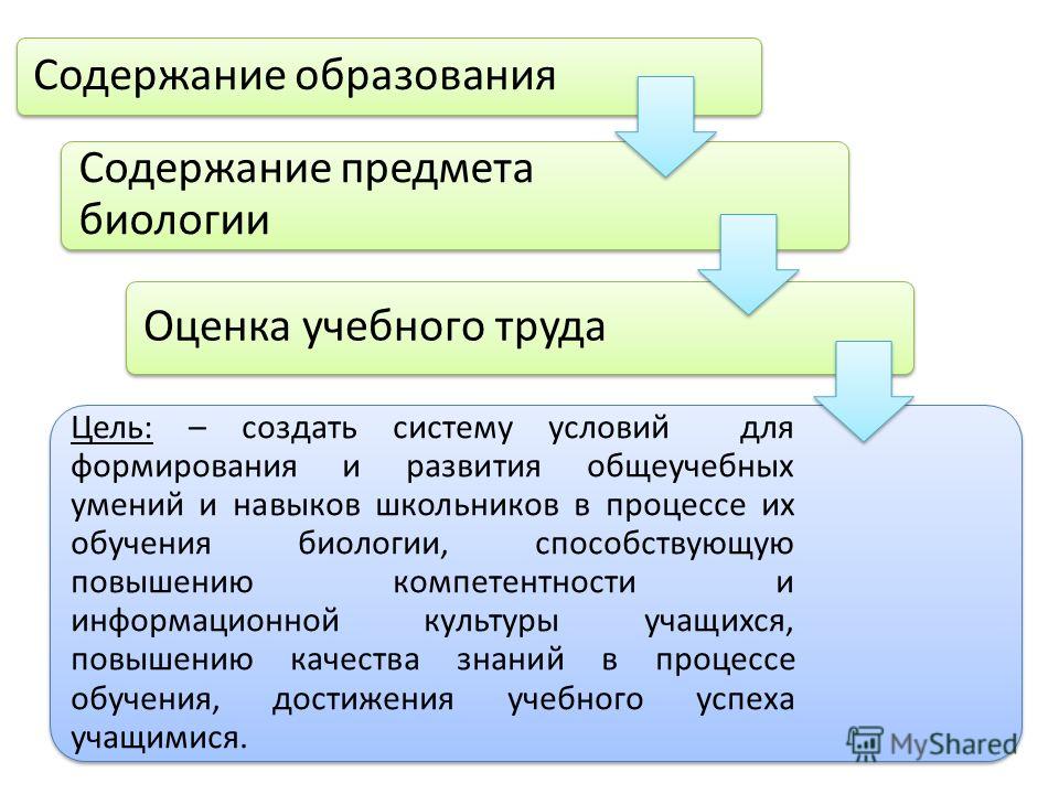 Оценка По Биологии