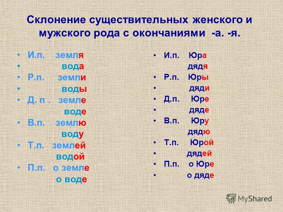 Презентация на тему: "Nomen substantivum Lingua Latina. Грамматические категории