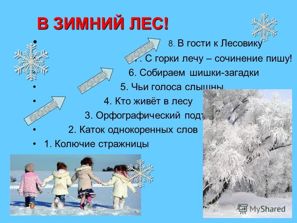 Готовые сочинения по русскому языку 6 класс зимний лес