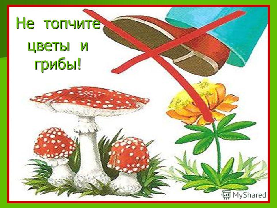Конкурс детских рисунков на сайте Конкурс детских рисунков на сайте