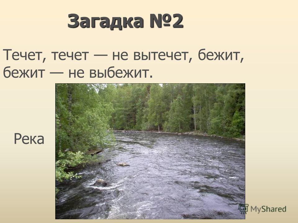 Загадка кто ходит день не зная что такое лень Загадка кто ходит день не зная что такое лень
