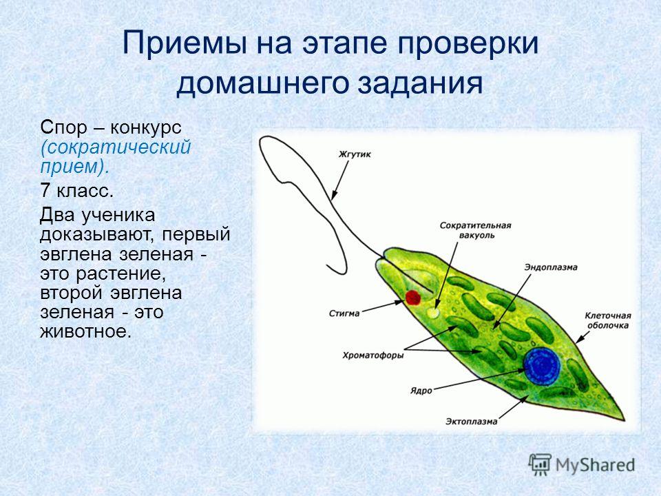 Пословицы поговорки второй класс Пословицы поговорки второй класс