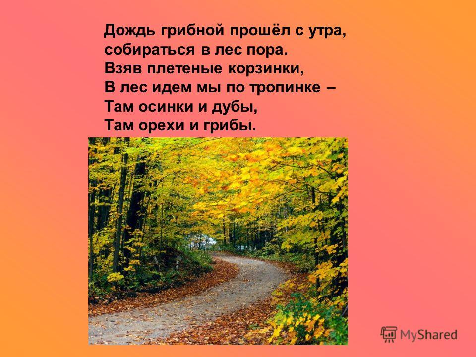 Связать человека в лесу Связать человека в лесу