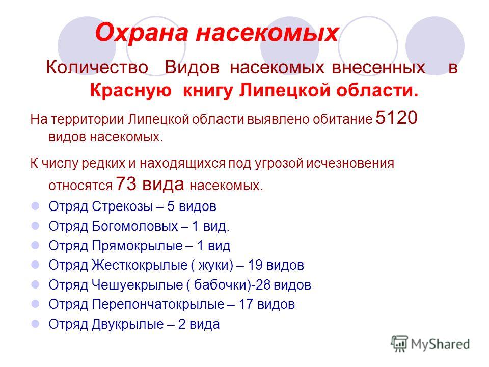 Экологичные средства защиты от насекомых-вредителей Вредители насекомые