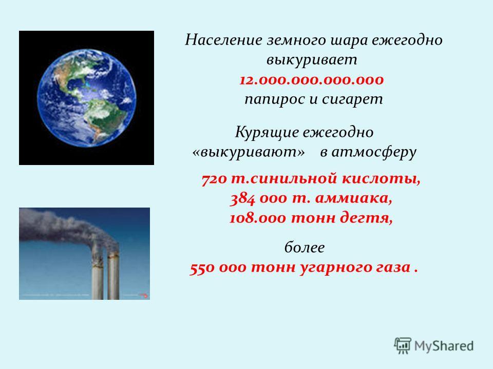 Население земного шара ежегодно выкуривает 12.000.000.000.000 папирос и сигарет Курящие ежегодно «выкуривают» в атмосферу 720 т.синильной кислоты, 384 000 т. аммиака, 108.000 тонн дегтя, более 550 000 тонн угарного газа.