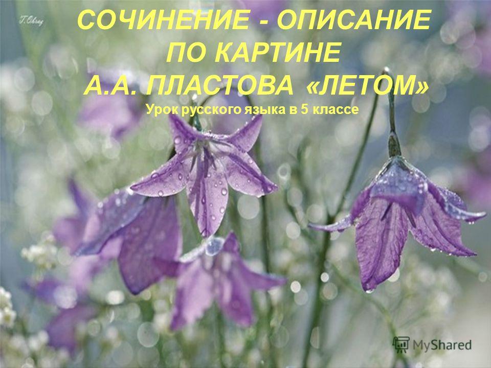 Сочинение Описание По Картине Лето Сочинение Описание По Картине Лето