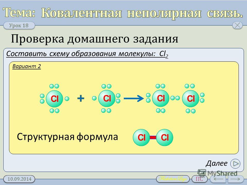 Схема строения cl
