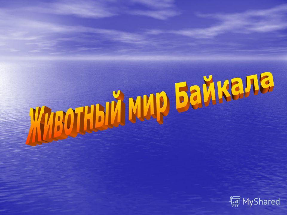 Чудо природы во всех отношениях Чудо природы во всех отношениях