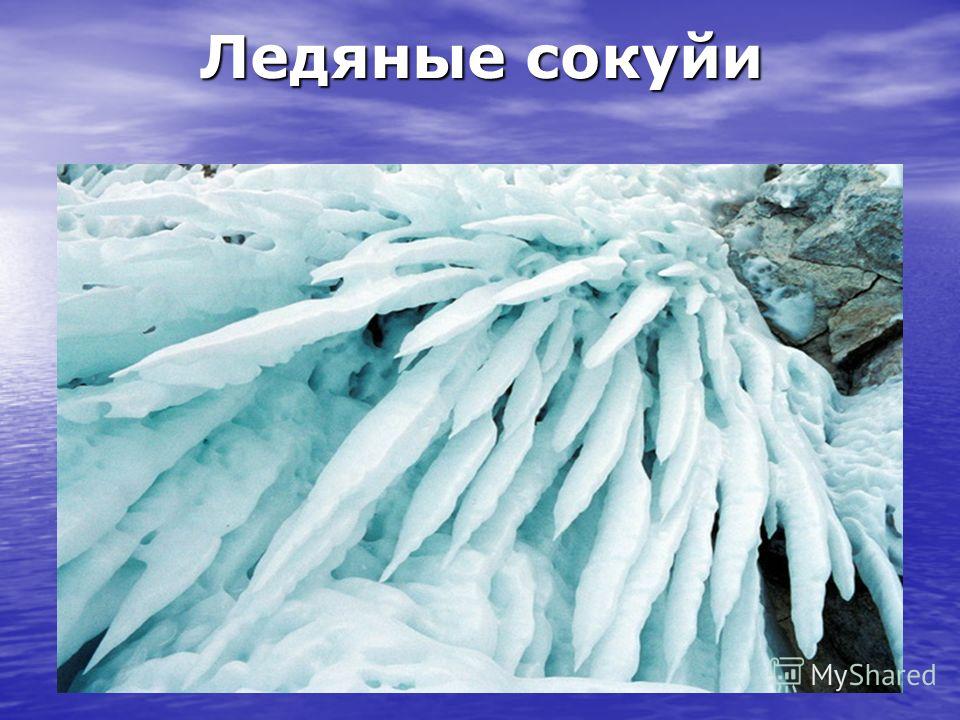 Байкал Жемчужина планеты